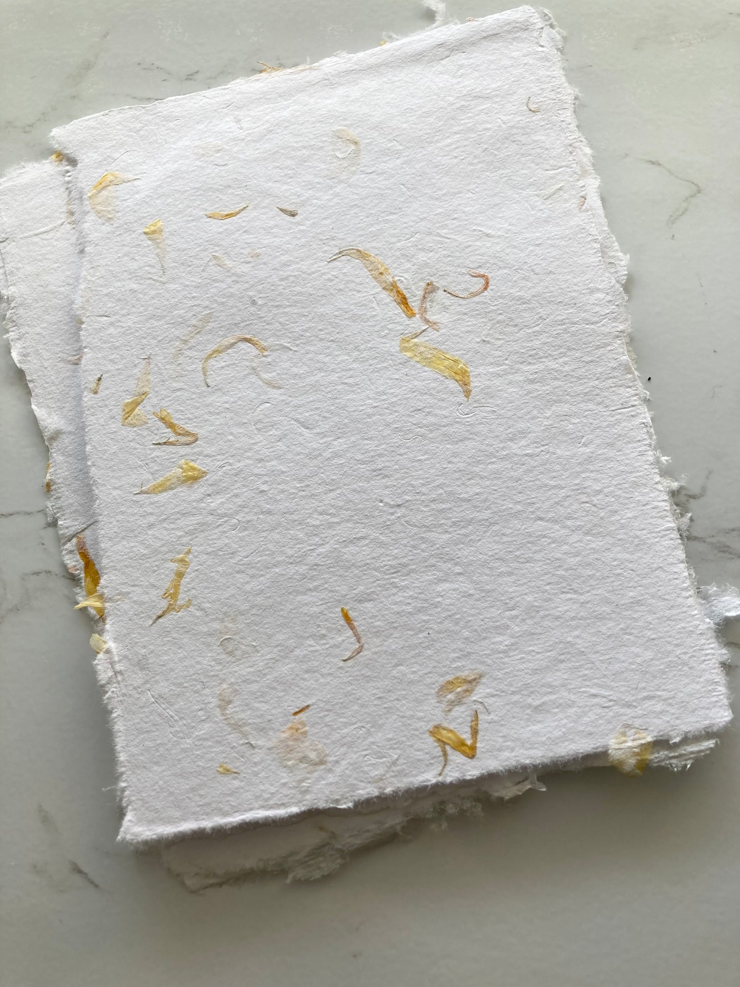 lot de 10 feuilles B6 - Fleurs Calendulas Papier artisanal - papier recyclé fait-main