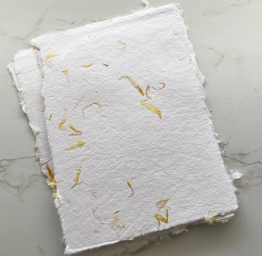 lot de 10 feuilles B6 - Fleurs Calendulas Papier artisanal - papier recyclé fait-main