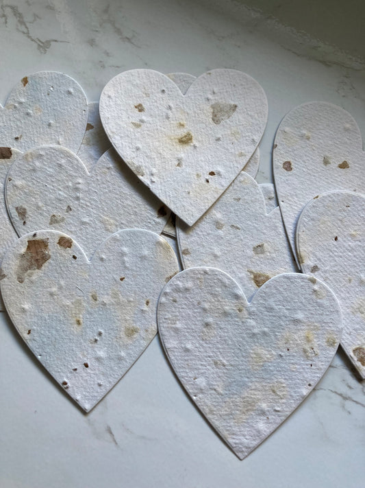 En stock / Lot de 10  Étiquettes à planter – Écologiques & personnalisables - Papier ensemencé