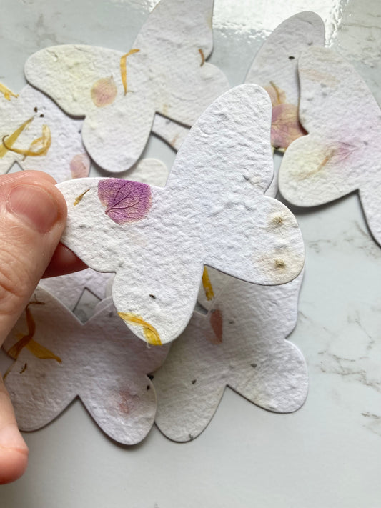 En stock / Lot de 10  Étiquettes à planter – Écologiques & personnalisables - Papier ensemencé