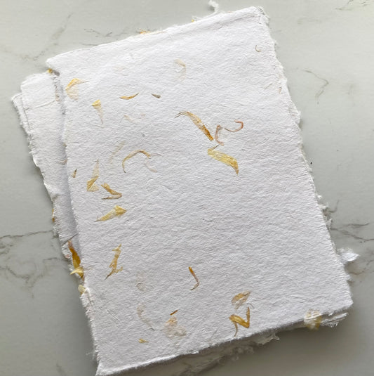 lot de 10 feuilles B6 - Fleurs Calendulas Papier artisanal - papier recyclé fait-main